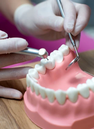 Dental Bridge Bali Dental Assistance